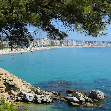 La Vela By Interhome Apartamento